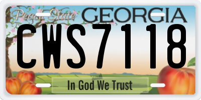 GA license plate CWS7118