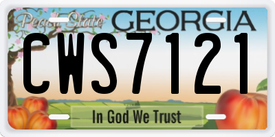 GA license plate CWS7121
