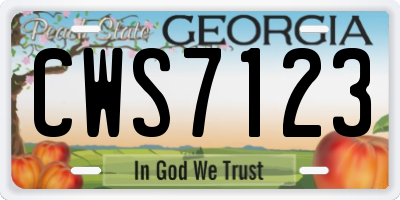 GA license plate CWS7123