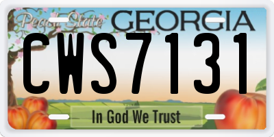 GA license plate CWS7131