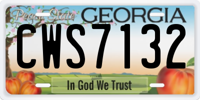 GA license plate CWS7132