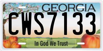 GA license plate CWS7133
