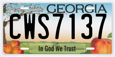 GA license plate CWS7137