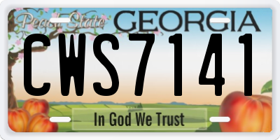 GA license plate CWS7141