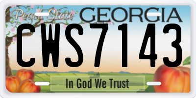 GA license plate CWS7143