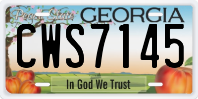 GA license plate CWS7145