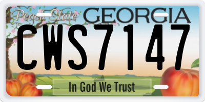 GA license plate CWS7147
