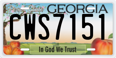 GA license plate CWS7151