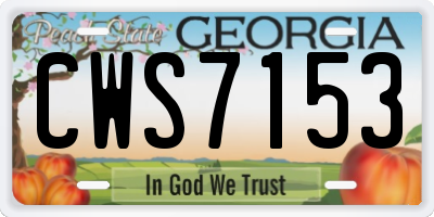 GA license plate CWS7153