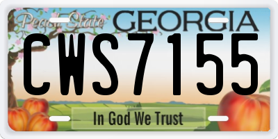 GA license plate CWS7155