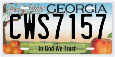 GA license plate CWS7157
