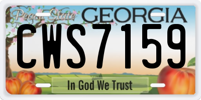 GA license plate CWS7159