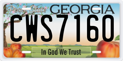 GA license plate CWS7160