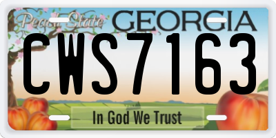 GA license plate CWS7163