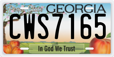 GA license plate CWS7165