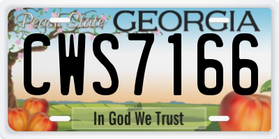 GA license plate CWS7166