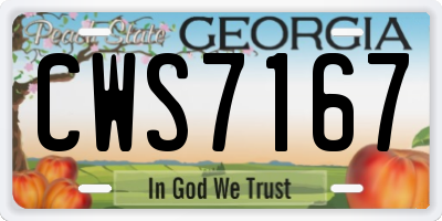 GA license plate CWS7167