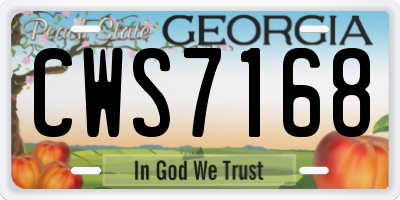 GA license plate CWS7168