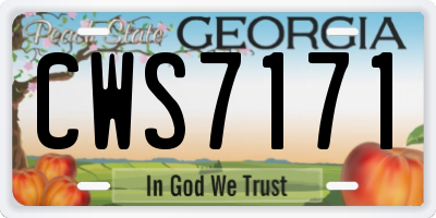 GA license plate CWS7171