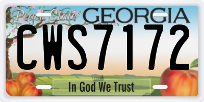 GA license plate CWS7172