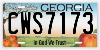 GA license plate CWS7173