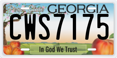 GA license plate CWS7175