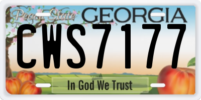 GA license plate CWS7177