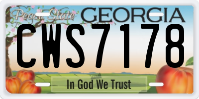 GA license plate CWS7178