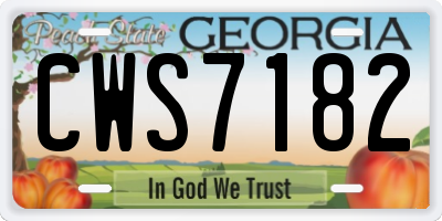 GA license plate CWS7182