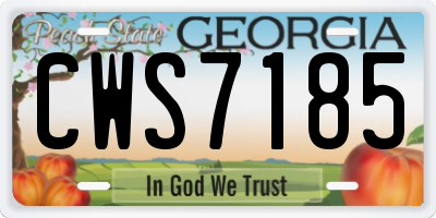 GA license plate CWS7185