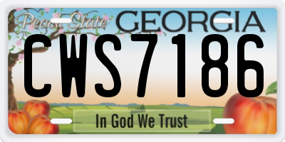 GA license plate CWS7186