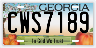 GA license plate CWS7189