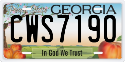 GA license plate CWS7190