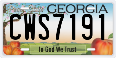 GA license plate CWS7191