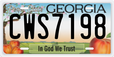 GA license plate CWS7198
