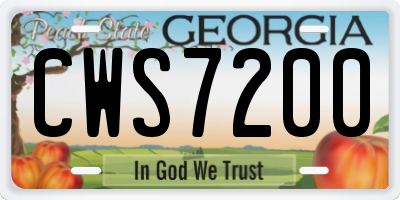 GA license plate CWS7200