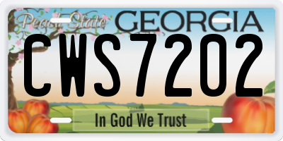 GA license plate CWS7202
