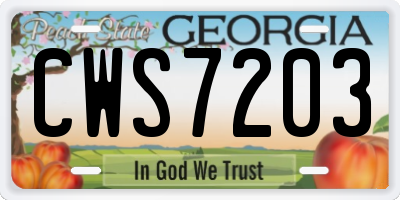 GA license plate CWS7203