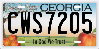GA license plate CWS7205
