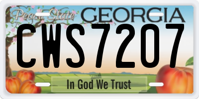 GA license plate CWS7207