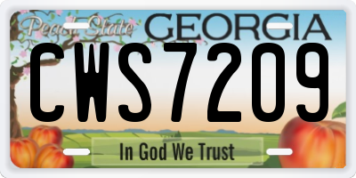GA license plate CWS7209