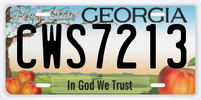 GA license plate CWS7213