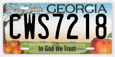 GA license plate CWS7218