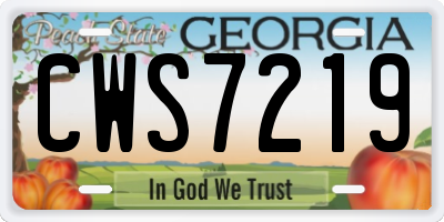 GA license plate CWS7219