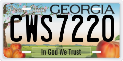 GA license plate CWS7220