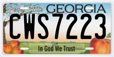 GA license plate CWS7223
