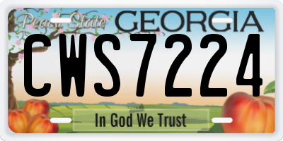 GA license plate CWS7224
