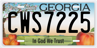 GA license plate CWS7225