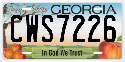 GA license plate CWS7226