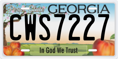 GA license plate CWS7227